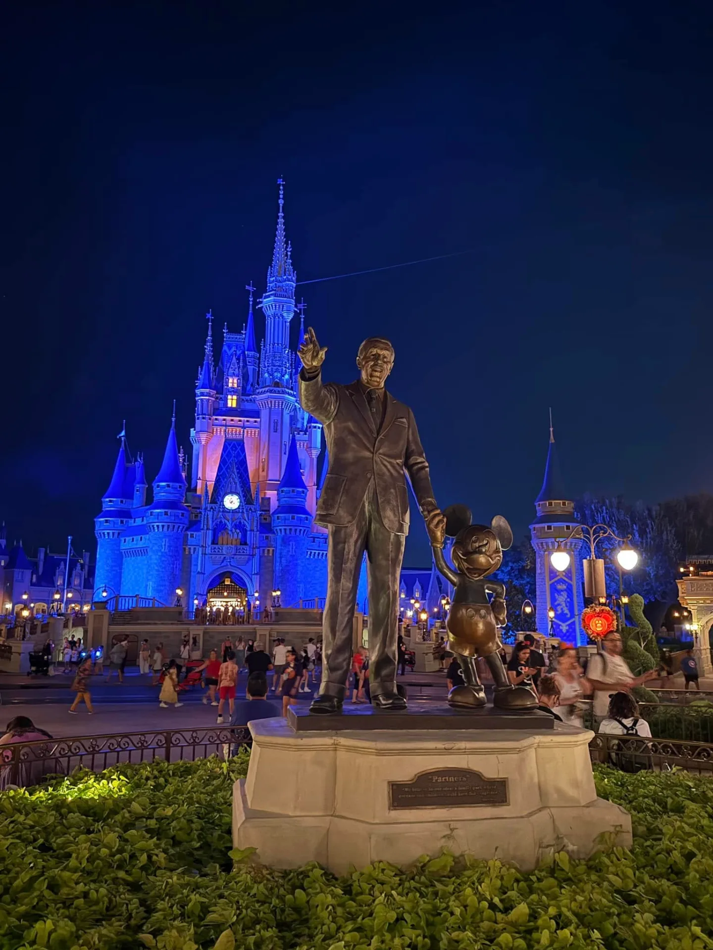 Cinderella Castle illuminated at night